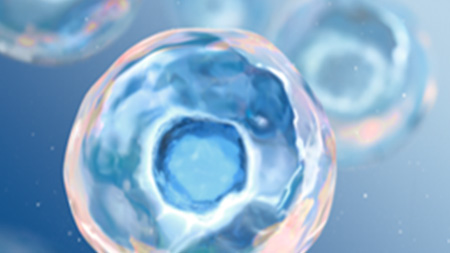 protección Cellular imagen 