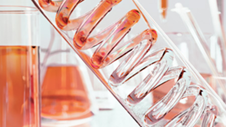 D.A.F.™ Imagen del complejo patentado