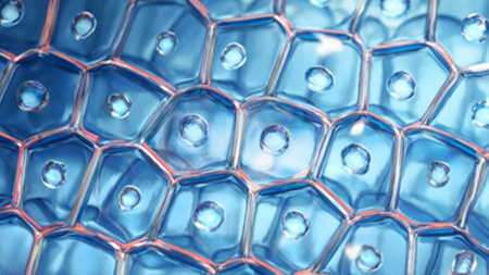 Optimal repair patended* complex IMAGE