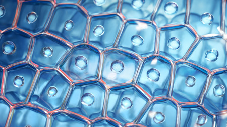 Skin Protect™ complex imagen