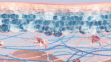 Imagen de la patente Toleridine™